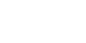 Cytidel- Yellow O B2B SaaS Sales Consultant