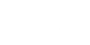 Tenor - Yellow O B2B SaaS Sales Consultant